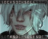 𝒔. addon V