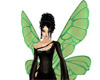 butterfly WINGS 3