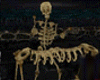 Skeleton Xylophonist