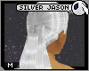 ~DC) Silver Jason