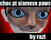 Choc Pt Siamese Paws (M)