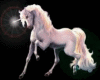 Unicorn Light Banner