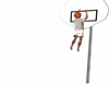 P9)Basketball Hoops  fun