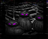 D . Pumpkin Cats