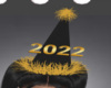 2022 Party Hat