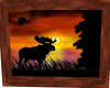 [B]Moose Sunset Pic