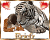 [Efr] Tiger Cuddle 4