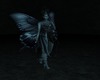 spotlight -foto