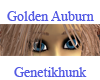 Golden Auburn Female