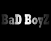 BaD Boyz  (pi) SHirt