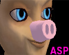 (ASP)Pink Pig Snout