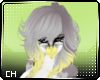 [CH] Aceso Hair v. 5