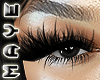 M. BOTTOM LASHES V2