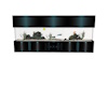(Asli)FishTank