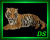 *Animated Tiger