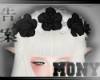 Black Rose Crown 00