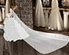 bridal shop- long veil