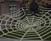 (S) Huge Spider & Web
