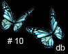 butterflies #10