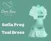Sofia Preg Teal Dress