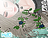 Anastasia Gray Blue