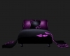 Purple Black Amora
