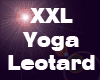 Yoga Pink Leotard XXL