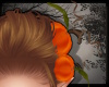 +Bev Head Pumpkins v1
