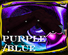 SD Chap F Purple Suede 2