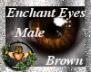~QI~ Enchant Eyes BR M