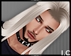 IC| Ash Terenity