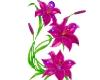 hot pink orchid sticker
