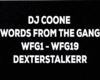Dj Coone - Words FTG