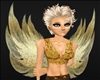 Obi D Gold Pixie Wings