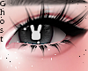 Bunny V4