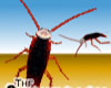 Cockroach avatar
