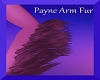 Payne Arm Fur