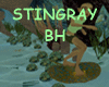 STINGRAY BH
