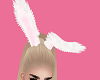 Bunny ears