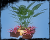 [Gel]Potted plants