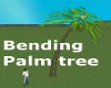 !ASW leaning palm tree