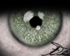 L Green Eye