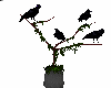 crows on a vase