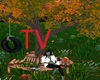 TV> Fall Bench Poses