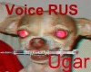 Voice Russian Ugar