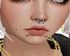 |Anu| Silver Septum*1