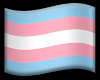 Trans Flag