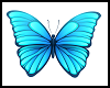 Blue ButterFly