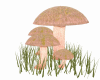 Mushroom 2