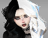 Zafi's Split white